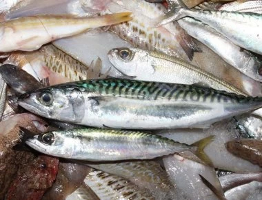 Τι πρέπει να προσέχουμε στα ψάρια; - Πως καταλαβαίνω αν είναι φρέσκα;